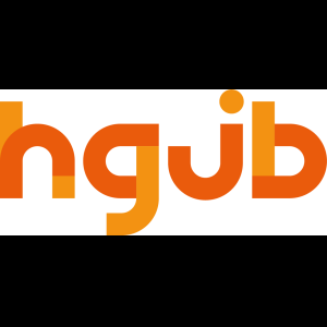 HGJB