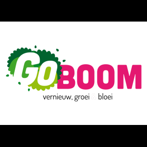 GoBoom